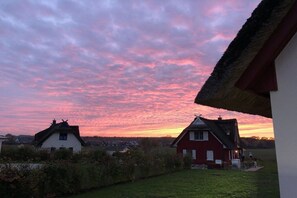 A rural landscape with two houses, one white and one red, under a pink and purple sky. - Thatched house "Lütt Seeadler" (Zierow)