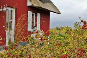 Ein rotes Haus mit weißen Fensterläden, einem Strohdach und einem Garten mit roten Beeren.