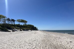 A beach with a clear sky, sandy shore, and trees. - At the Old Forester's Lodge (Prerow)