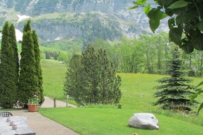 A garden with a paved area, potted plants, and a large rock. - Holiday apartment with 1 bedroom (Grindelwald)