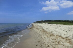 A beach with a sandy shore and a forested area in the background. - Buoy in the house Sanddorn (Ahrenshoop)