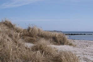 A beach with sand dunes and a calm sea. - Holiday apartment with 1 bedroom (Fehmarn OT Klausdorf)