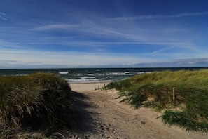 A sandy beach path leading to the ocean with grassy dunes on either side. - Holiday apartment with 2 bedrooms (Dierhagen)