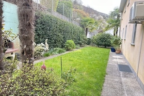 Ein gepflegter Garten mit Rasenfläche, verschiedenen Sträuchern und einem kleinen Baum.