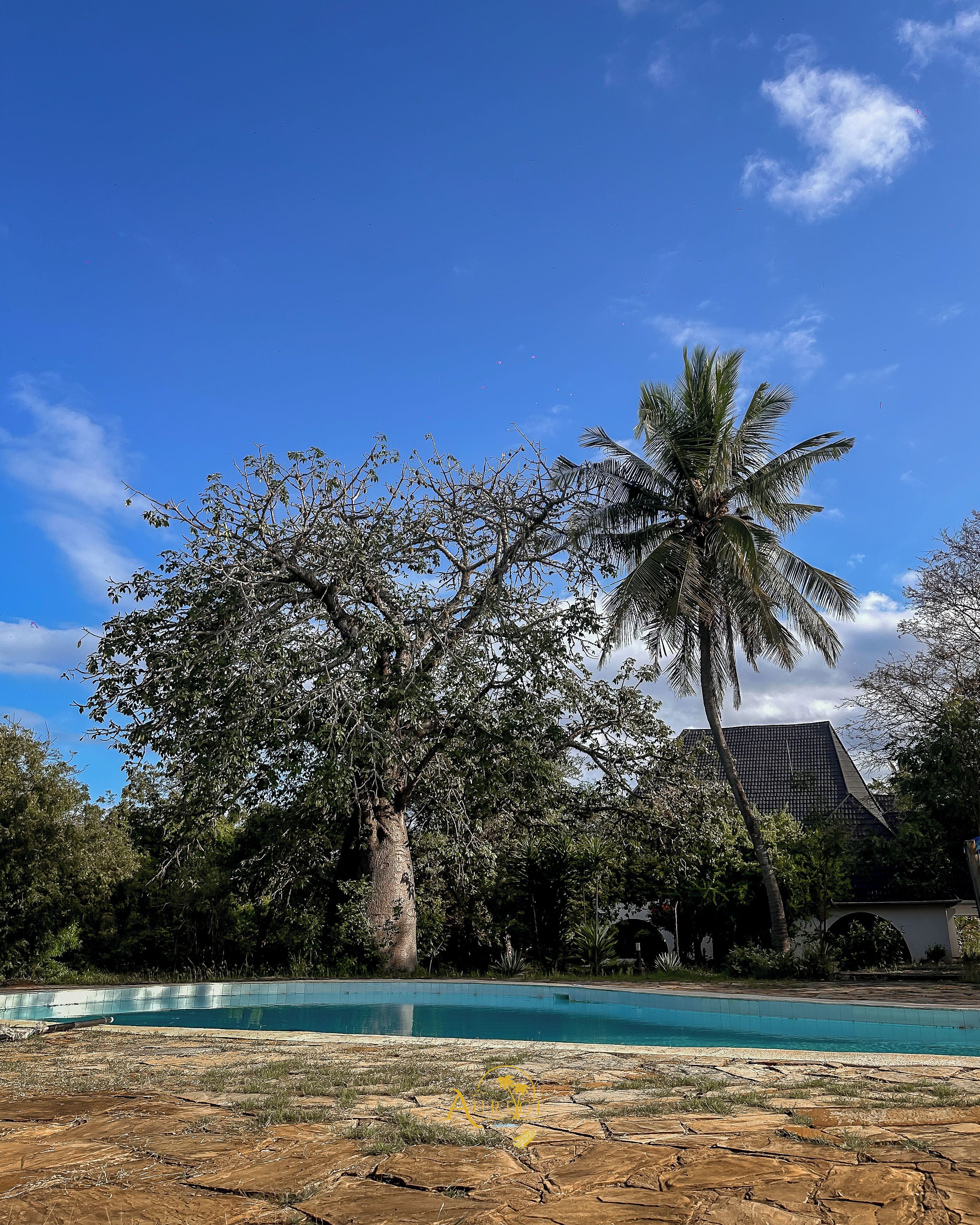 Zona piscina con un grande albero e un edificio sullo sfondo.