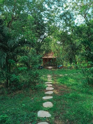 A stone pathway leading to a rustic wooden structure surrounded by lush greenery. - Alaya Ecolodge (Buleleng)
