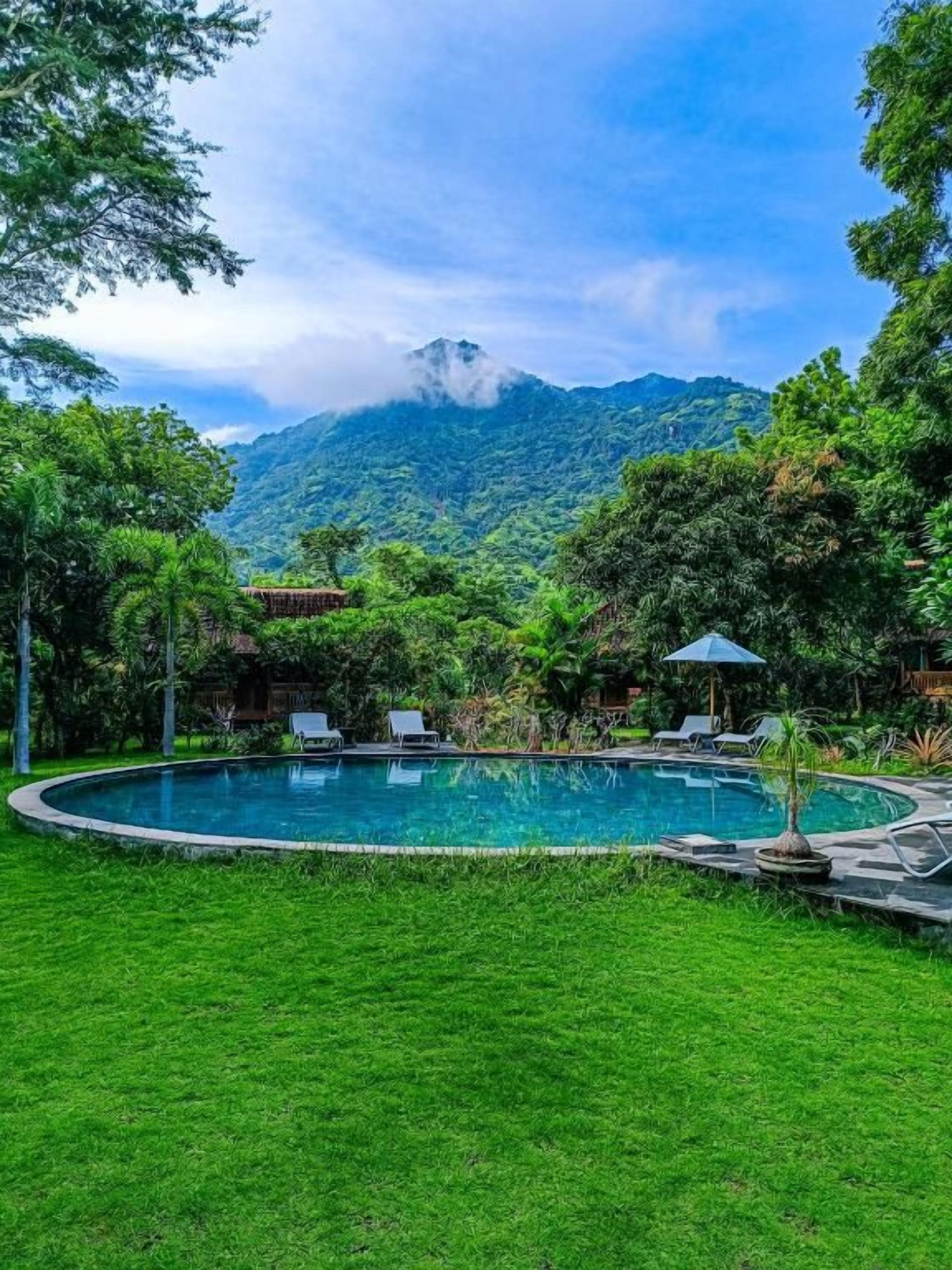 A swimming pool surrounded by lush greenery and a mountain in the background.