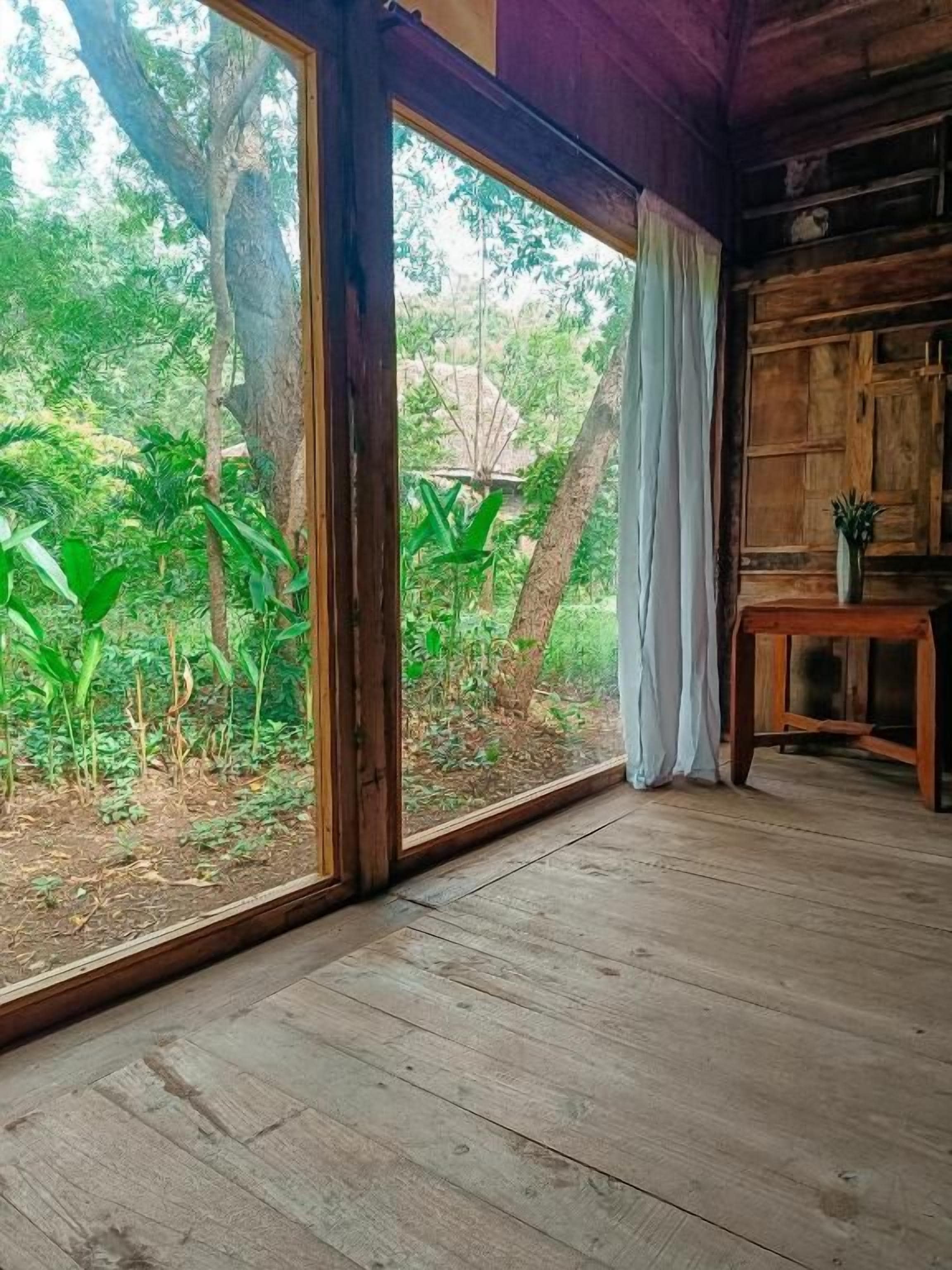 A room with a large window, wooden floor, and a small table with a plant.