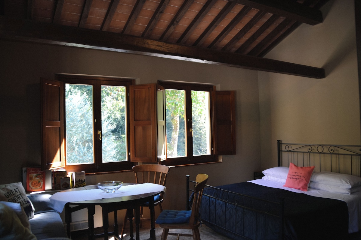 A room with a bed, a table, and two windows with open shutters.