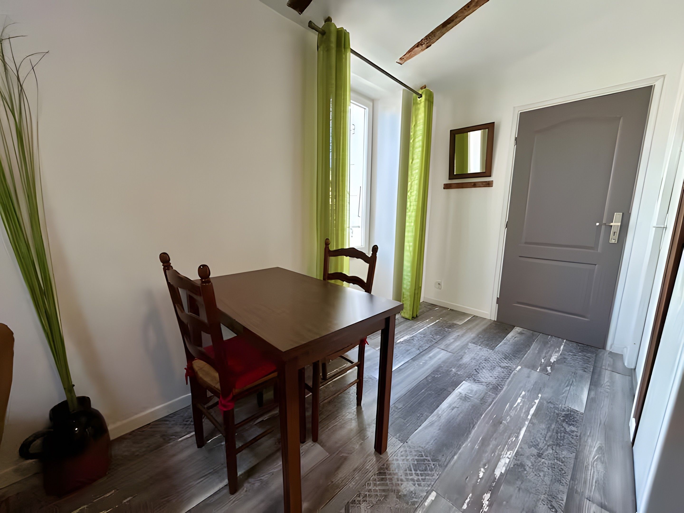 A dining area with a wooden table and chairs, a potted plant, a mirror on the wall, and a door in the background.
