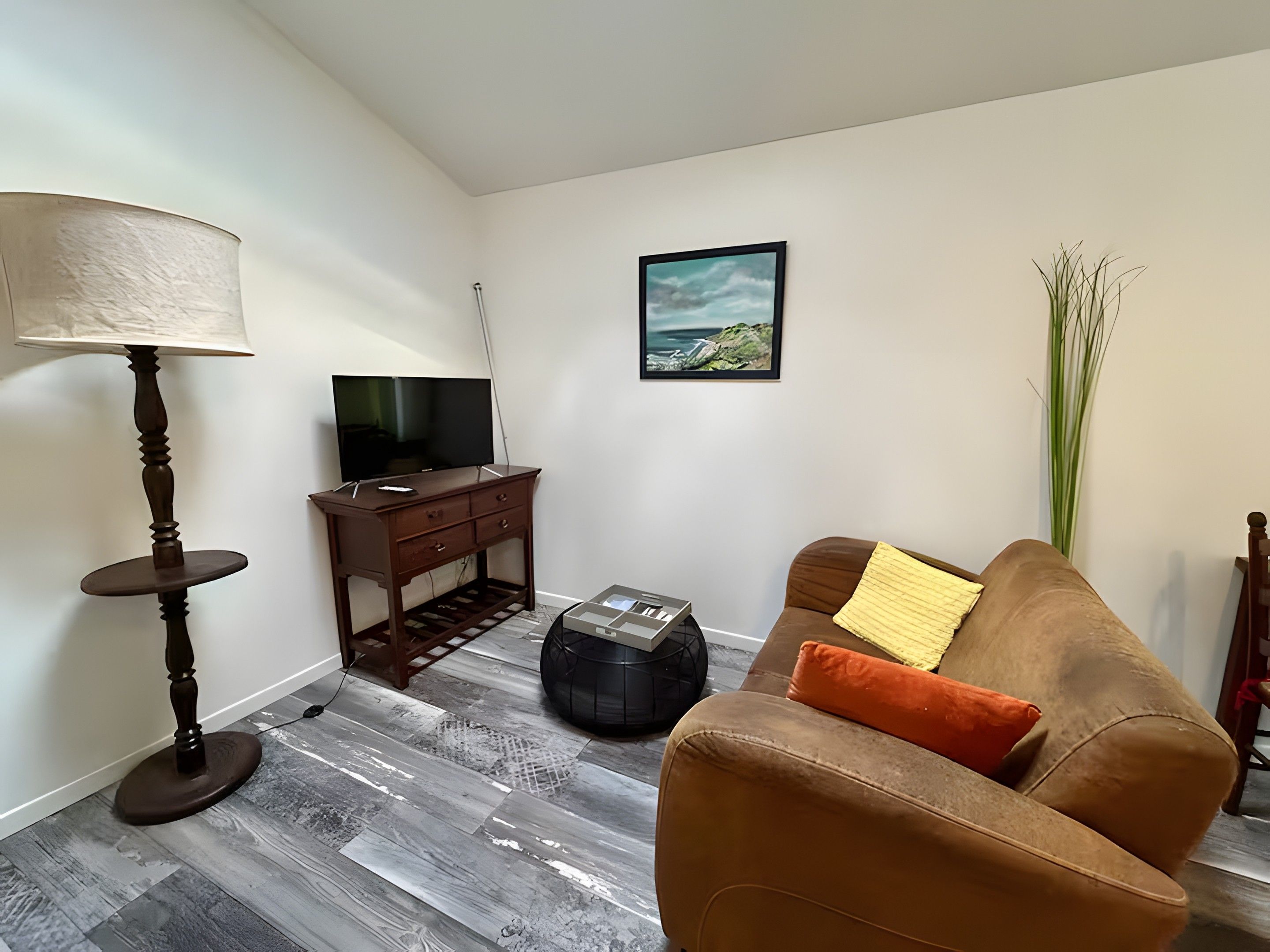 A living room with a brown sofa, a standing lamp, a TV on a wooden stand, a painting on the wall, and a tall green plant.