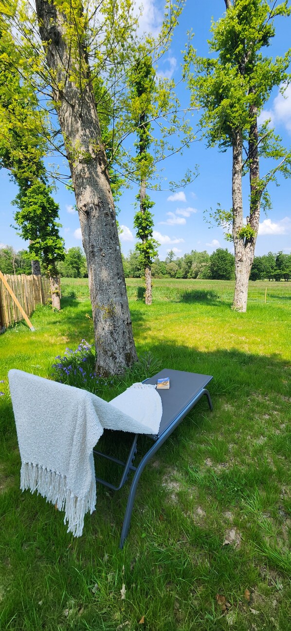 Una mesa de picnic con un mantel blanco y un libro, ubicada en un campo cubierto de césped con árboles y cielo despejado.
