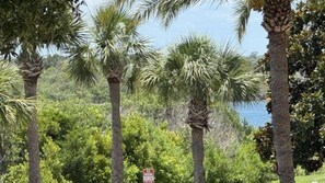 A view of tall palm trees and dense greenery with a body of water in the background. - 2206 Harbour Village (Ponce Inlet)