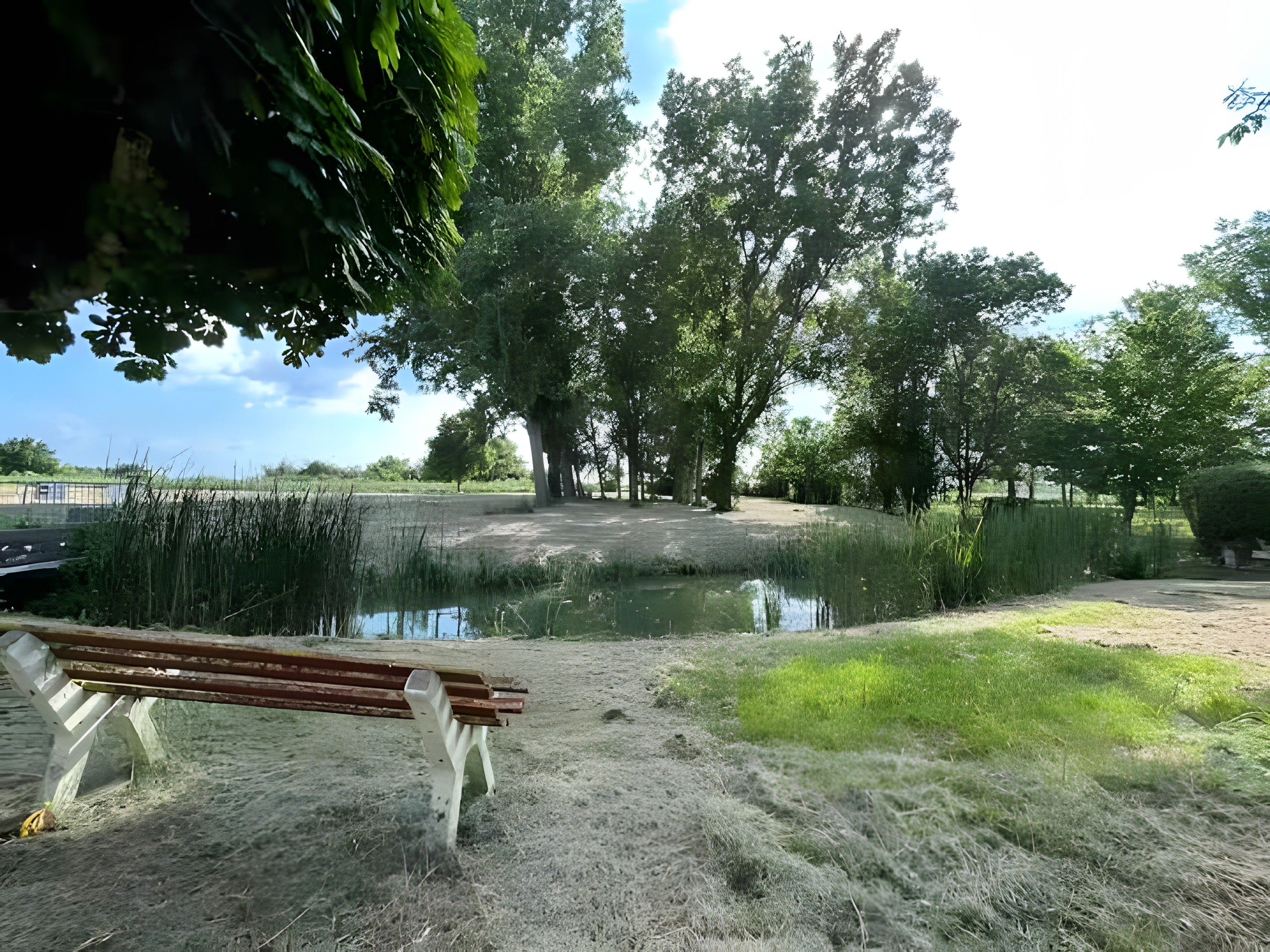 Un parc avec un banc, un étang et des arbres.