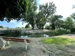 Ein Park mit einer Bank, einem Teich und Bäumen.