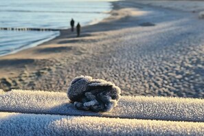 A beach scene with a person walking in the distance and a rolled-up item on the sand. - Rosehip, Domizil am Ostseewald (Zingst)