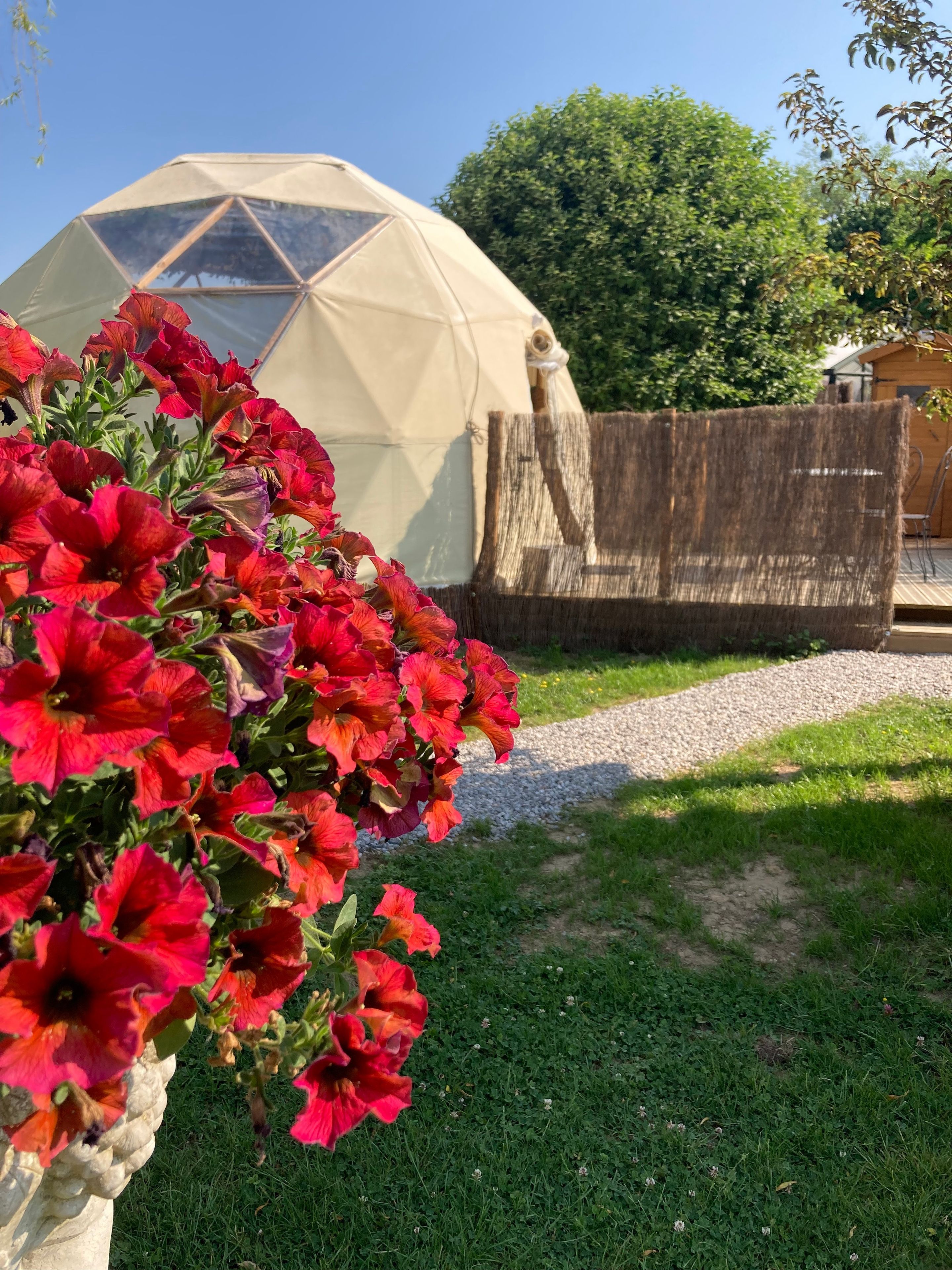 A garden with a large flower bed of red flowers, a wooden fence, and a geodesic dome structure in the background.