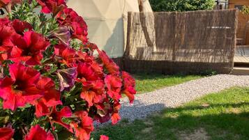 A garden with a large flower bed of red flowers, a wooden fence, and a geodesic dome structure in the background.