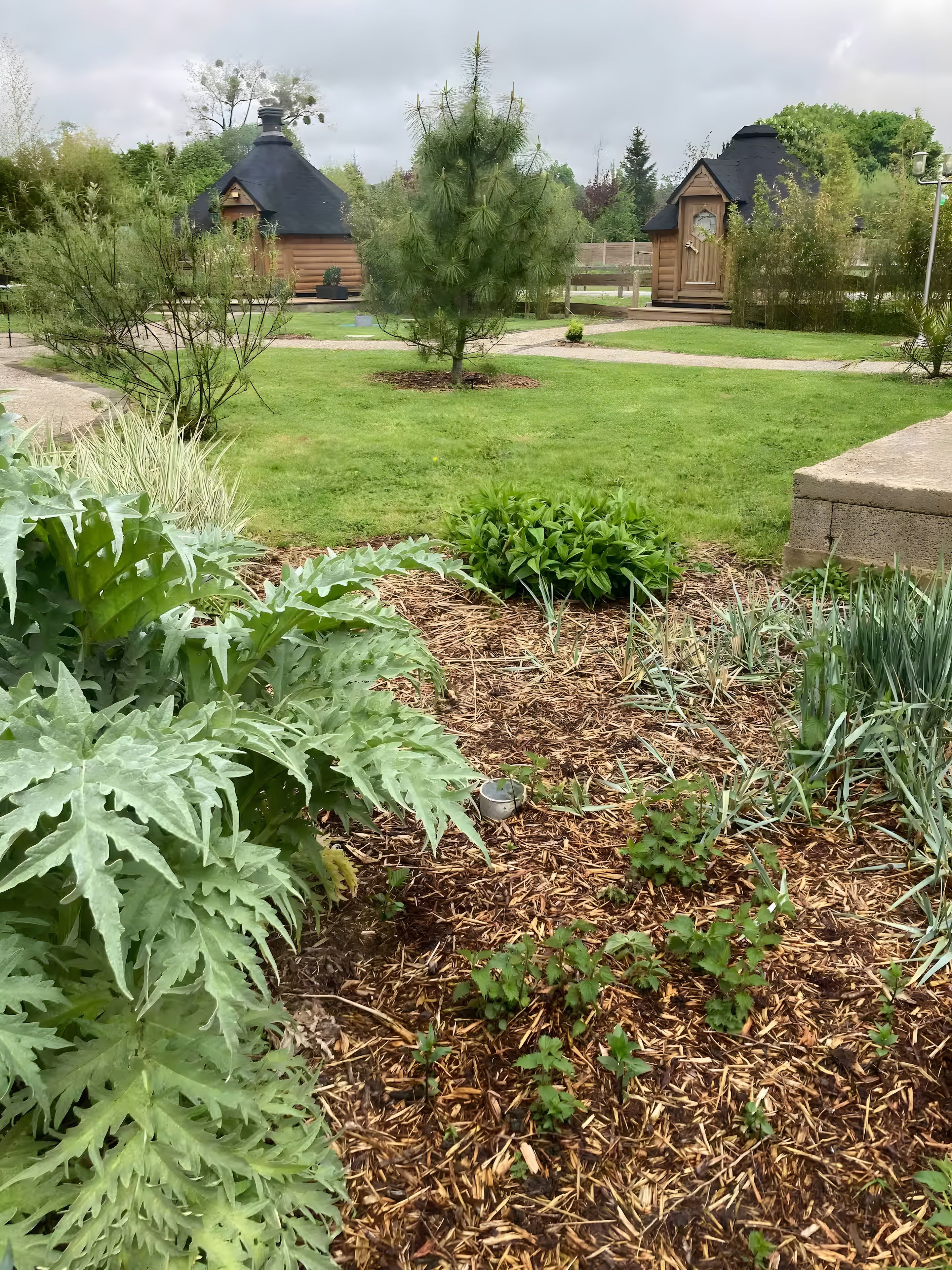 Un jardin avec différentes plantes et un petit arbre, entouré d’une pelouse et d’une structure en bois en arrière-plan.