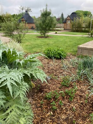 A garden with various plants and a small tree, surrounded by a lawn and a wooden structure in the background.