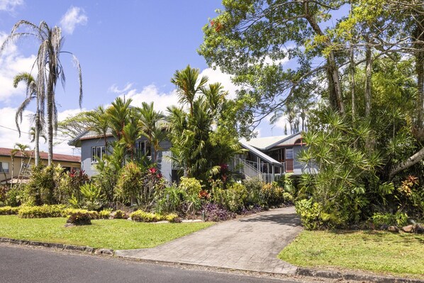 A residential area with two houses, a paved driveway, and a variety of tropical plants.