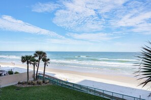 Ein Strand mit Palmen und blauem Himmel.