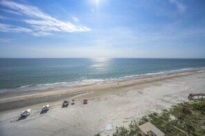 Traffic Free Beach - #1005 Seychelles 2/2 Oceanfront Traffic Free Beach (Daytona Beach Shores)