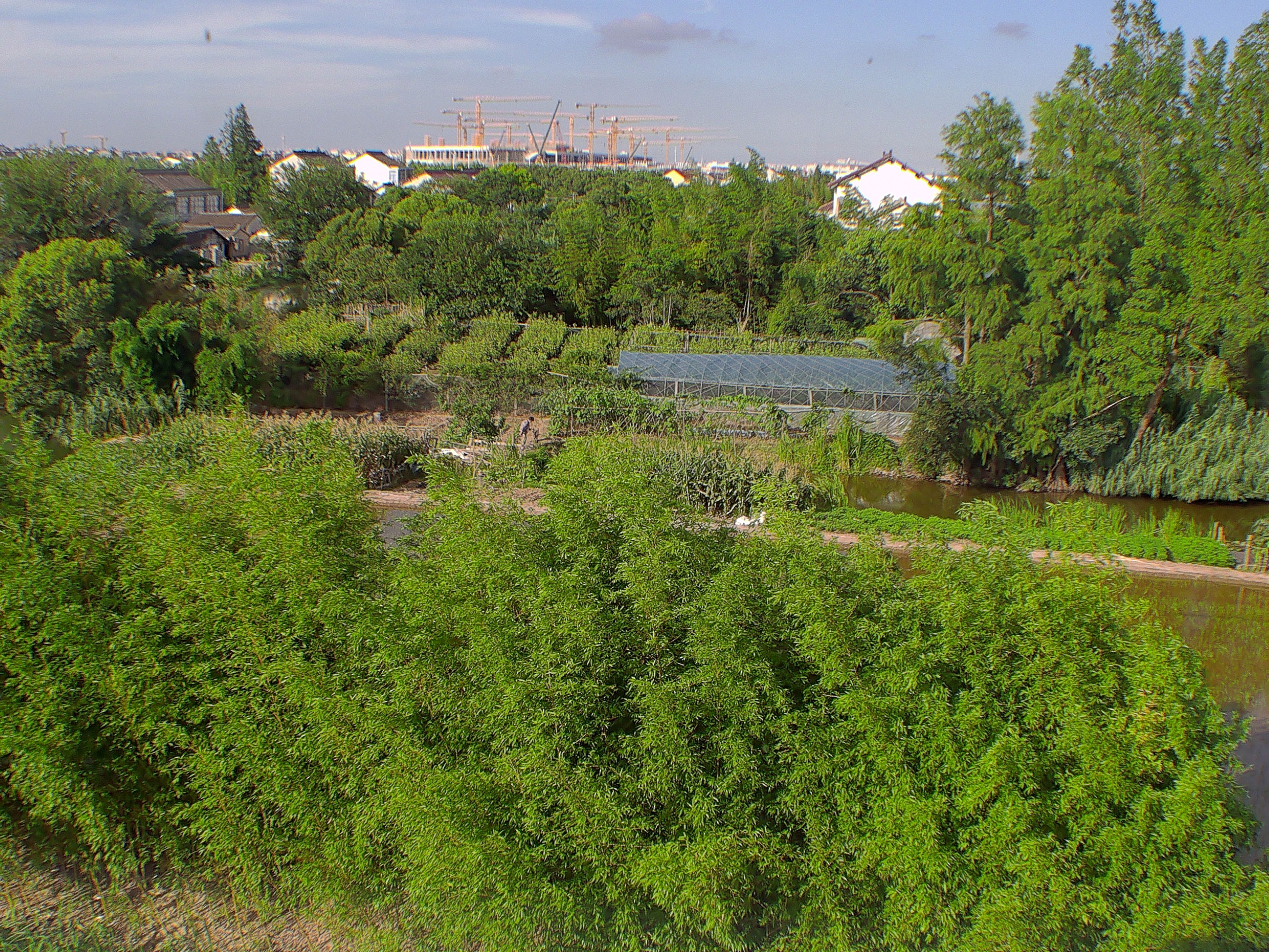 Vista des de l'habitació