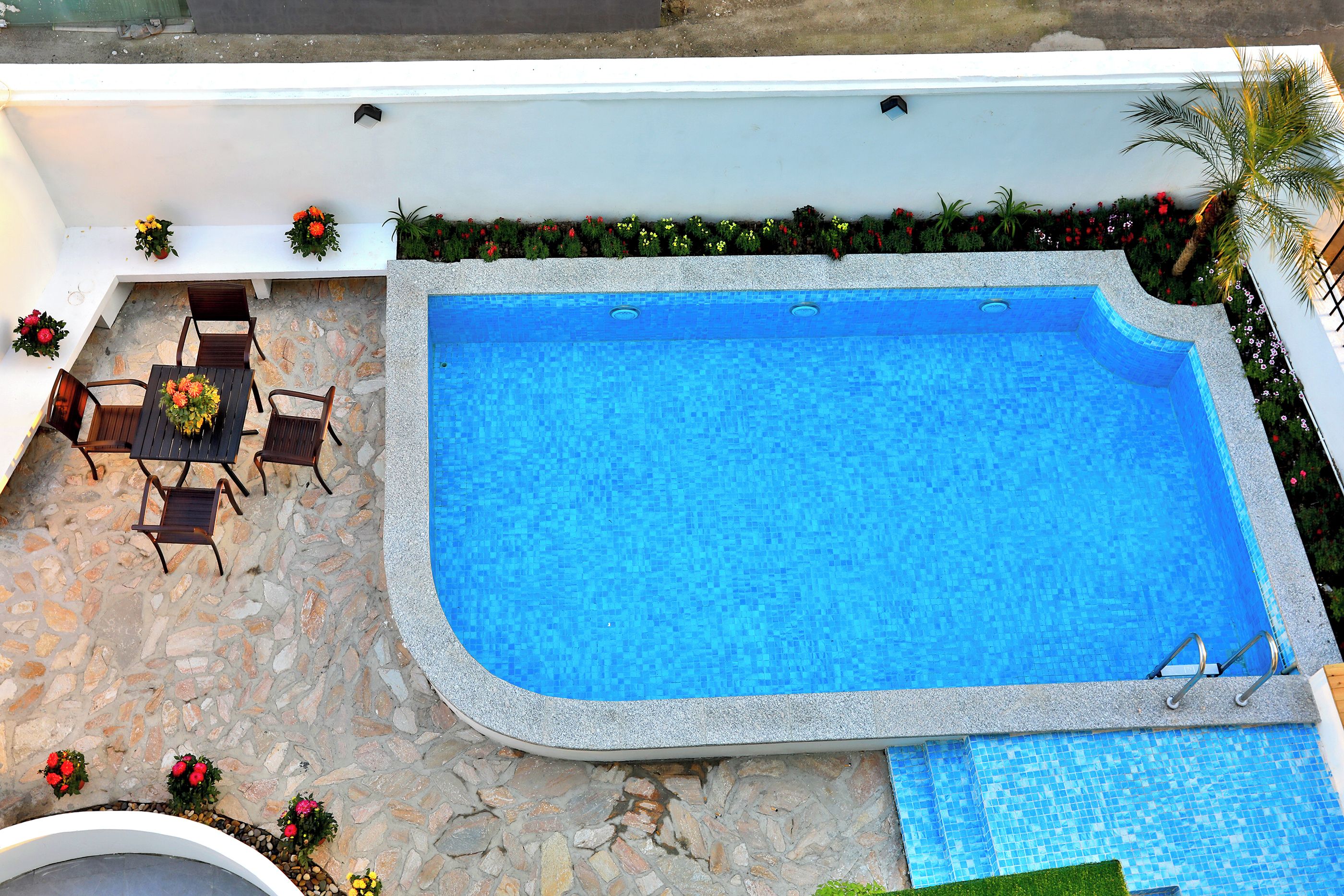 Una piscina con plataforma de piedra, rodeada de macetas con plantas y flores.