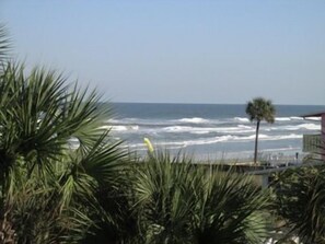 A coastal view with palm trees and a beach in the background. - #6210 Towers Oceanview 2/2 Condo (Ponce Inlet)