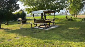 Un espace pique-nique avec un banc et une table en bois, entouré d’herbe et d’arbres.