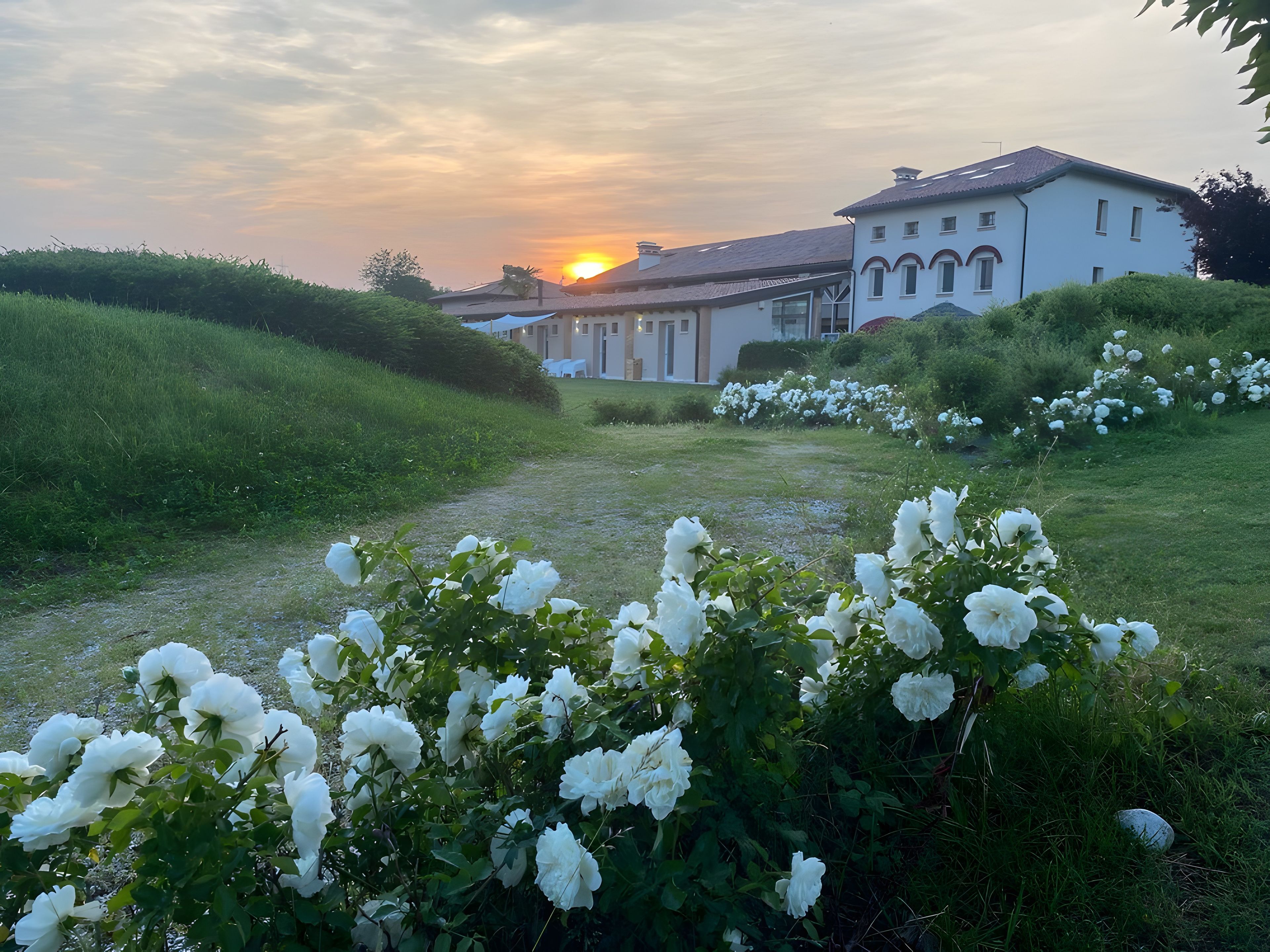 Ein Gebäude mit einem Gartenweg, der davorführt, umgeben von weißen Blüten und viel Grün.