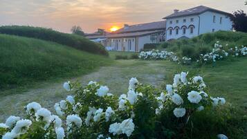 Ein Gebäude mit einem Gartenweg, der davorführt, umgeben von weißen Blüten und viel Grün.