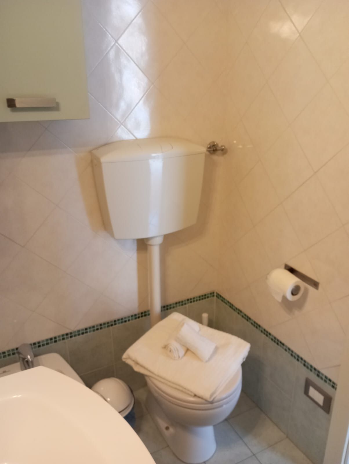 Un baño con inodoro, bidé y un rollo de papel higiénico en la pared.