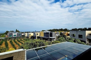 A residential area with modern houses, solar panels, and a vineyard. - dalkompoolvilla (Jeju-si)