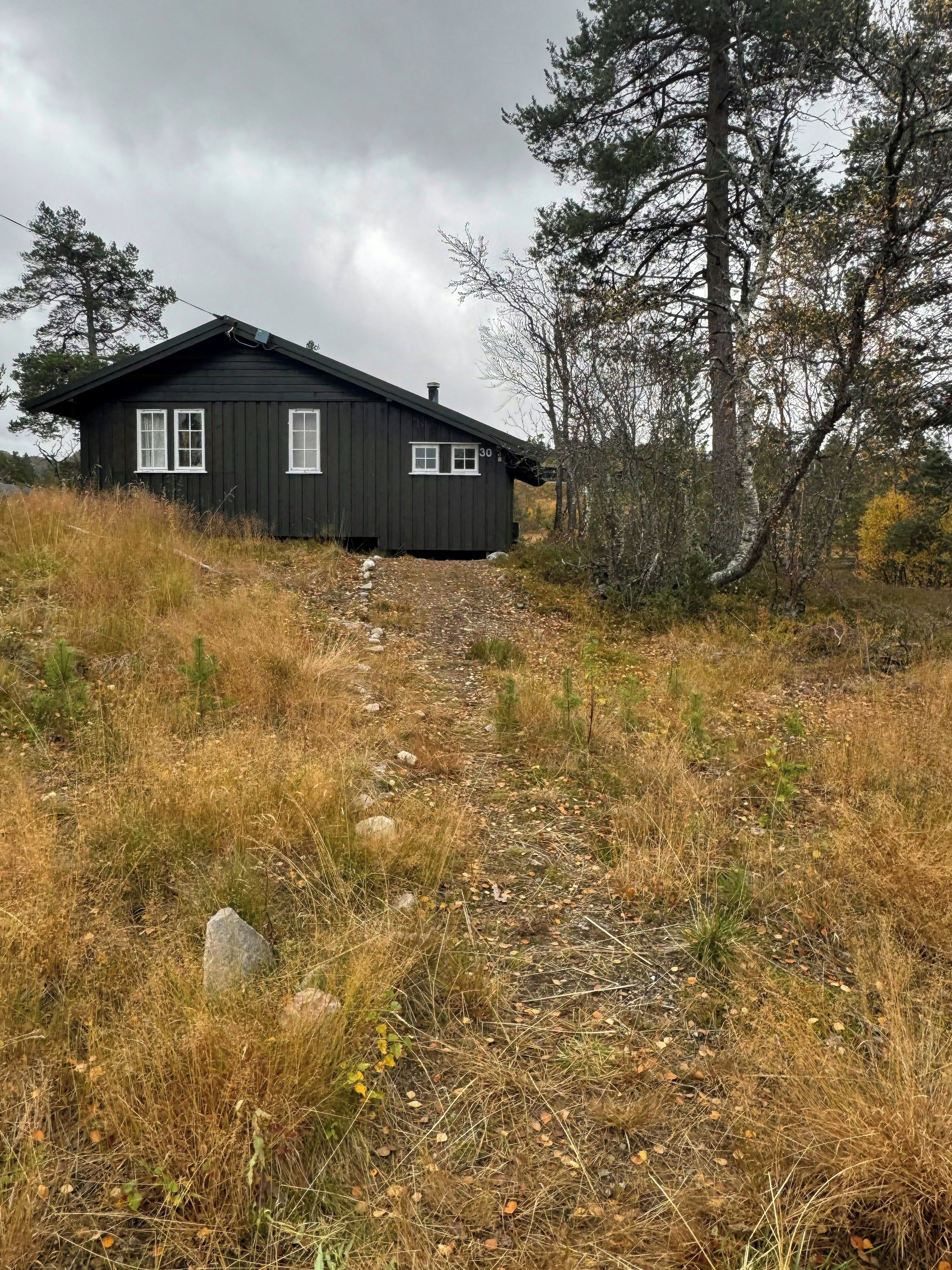 Eksteriør