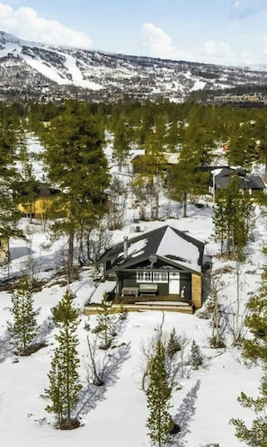 A snow-covered cabin with a deck, surrounded by trees and a mountainous backdrop. - A mountain cabin with board games and a pool table (Setesdalen)