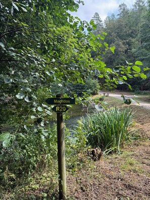 A directional signpost with 'Machtlos' and 'R20' visible, surrounded by lush greenery and a path leading to a bench. - Lavendel Vacation Home with a Large Terrace. Centrally located in the Machtlos Vacation Park (Ronshausen)