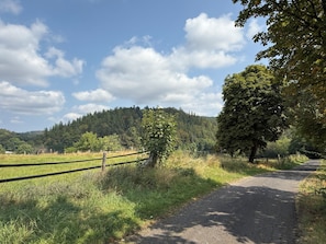 A rural road flanked by greenery and a fence. - Lavendel Vacation Home with a Large Terrace. Centrally located in the Machtlos Vacation Park (Ronshausen)