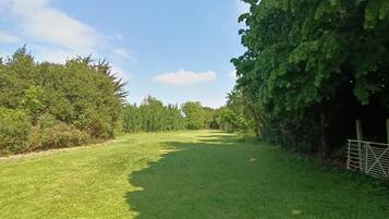 A grassy field with trees and a clear sky.