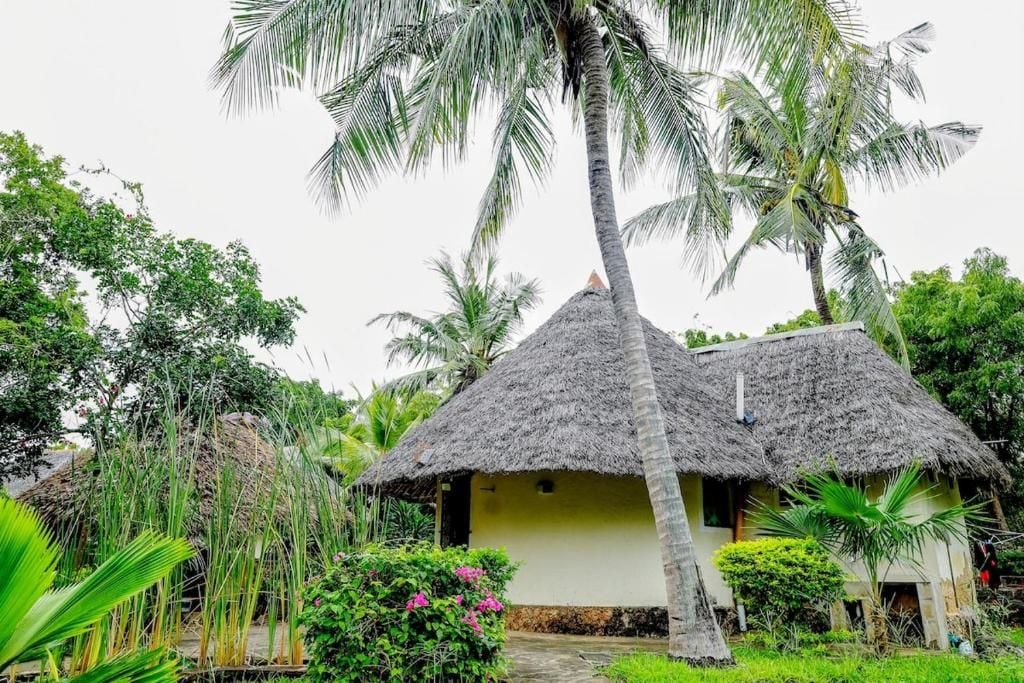 A thatched-roof house surrounded by lush greenery and palm trees.