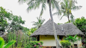A thatched-roof house surrounded by lush greenery and palm trees.