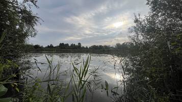 Eine natürliche Landschaft mit einem Gewässer, das von dichter Vegetation umgeben ist.
