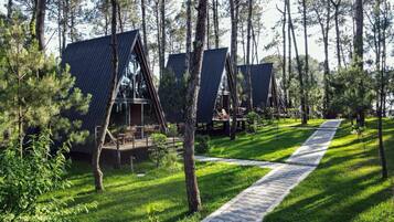 A row of treehouse-style cabins with a pathway leading through a grassy area.
