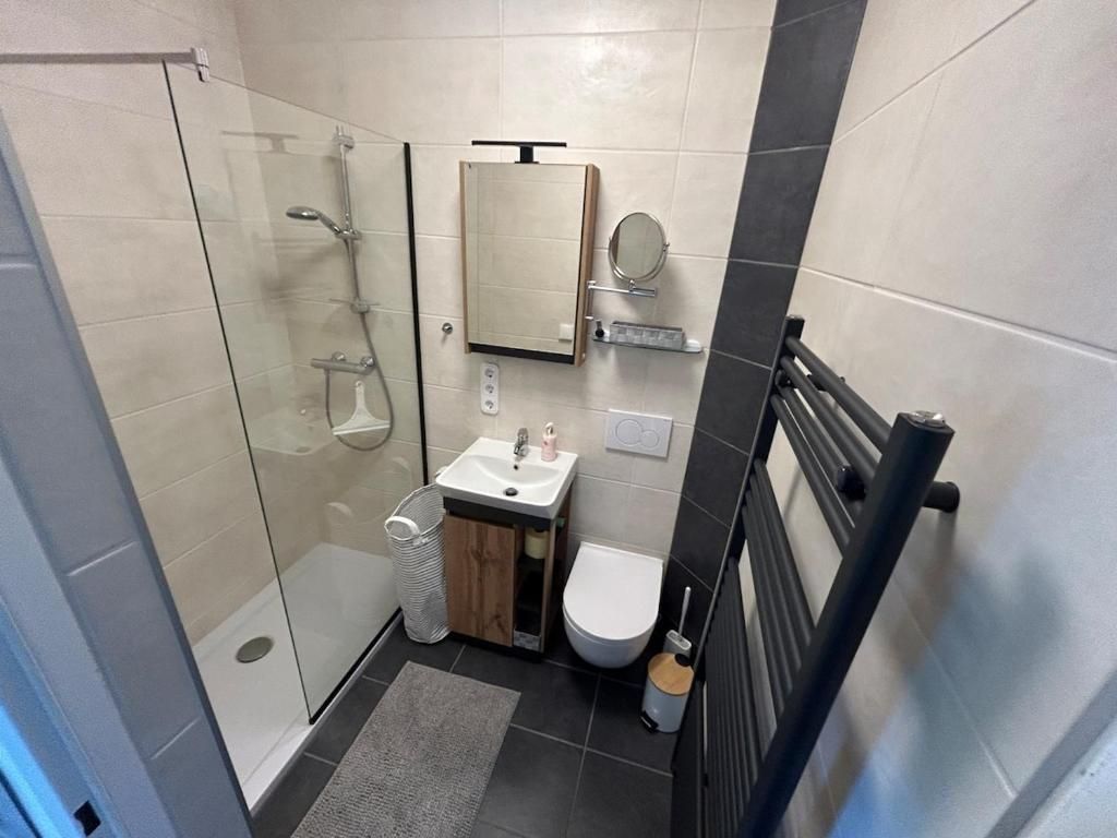 Un baño con cabina de ducha de vidrio, lavamanos con espejo e inodoro.