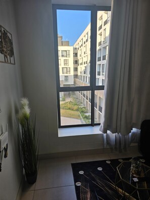 Une pièce dotée d’une grande fenêtre, d’une plante en pot et d’un tapis géométrique noir.