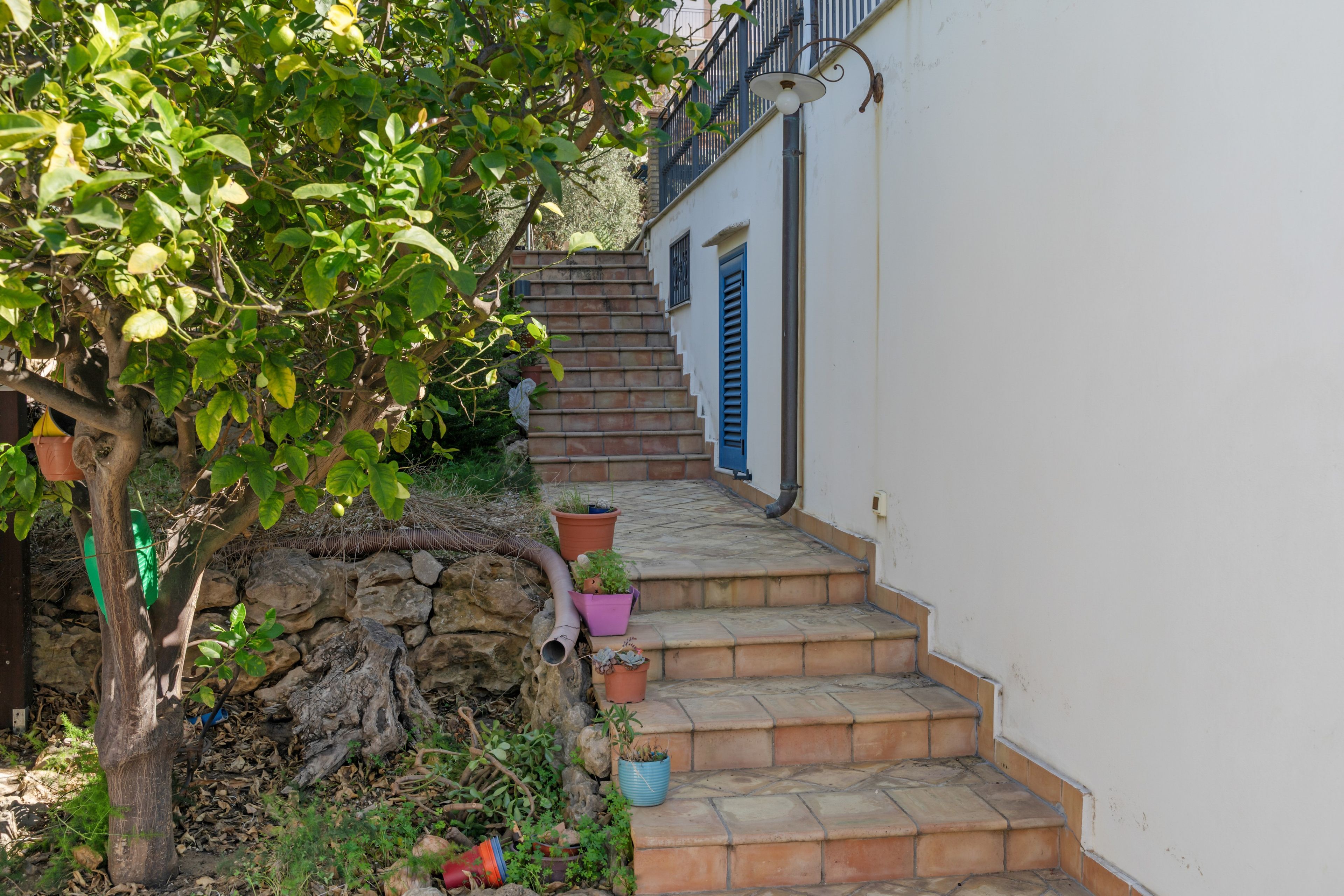 A narrow staircase leading to a white building with blue shutters, surrounded by greenery and potted plants.