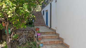 A narrow staircase leading to a white building with blue shutters, surrounded by greenery and potted plants.