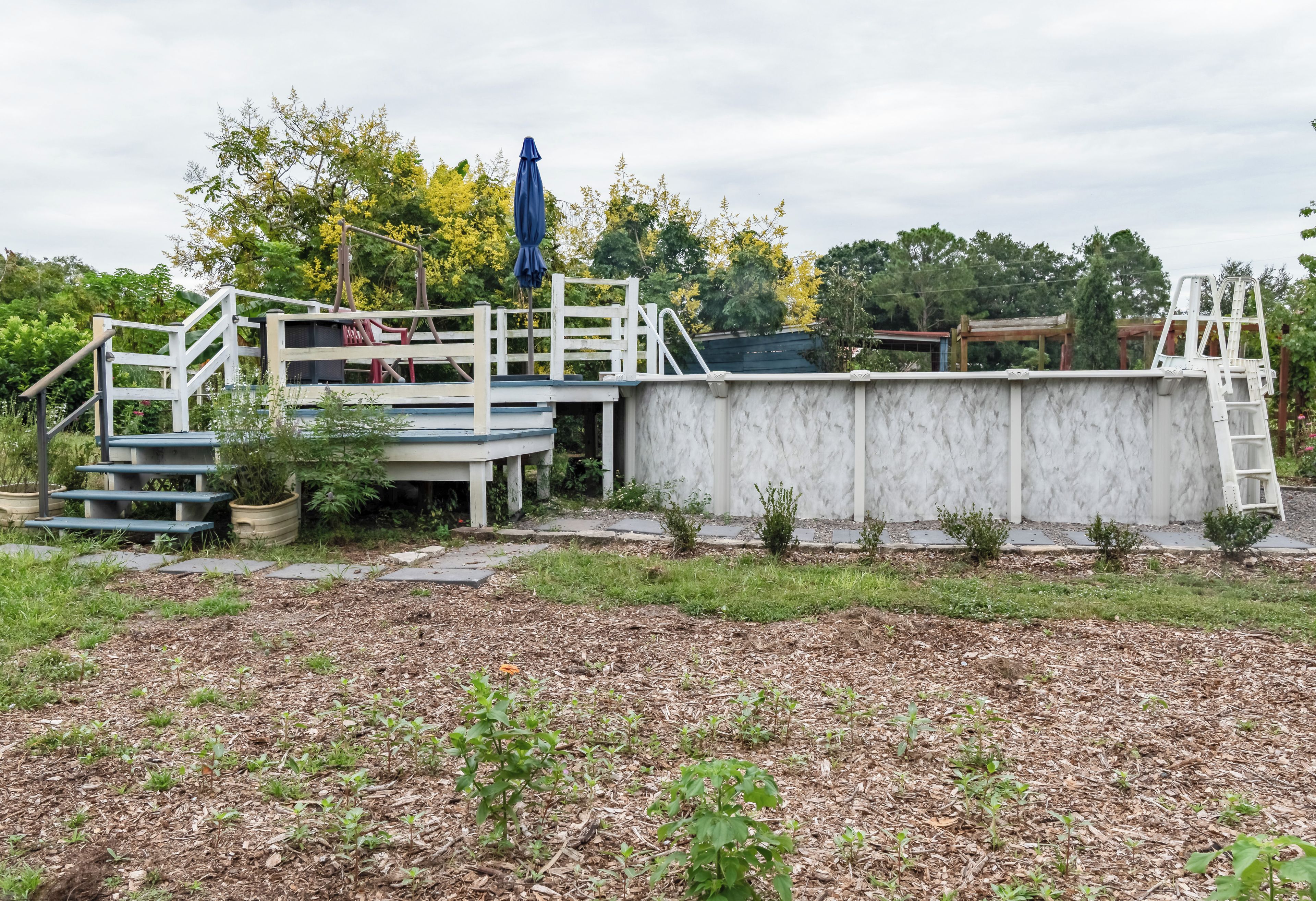 Ein Schwimmbecken mit Holzdeck und Stufen, umgeben von einem Garten mit Mulch und kleinen Pflanzen.