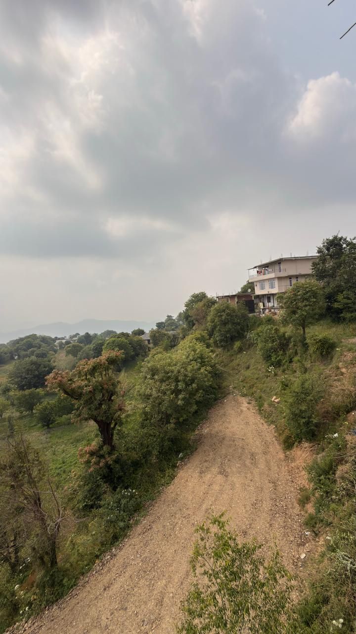 住宿景观